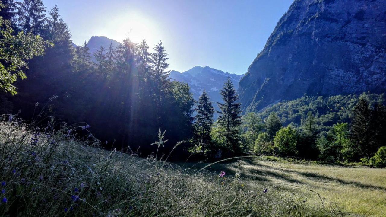 Cottages Kravanja Trenta Exterior foto